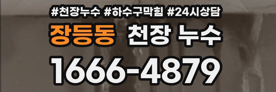 장등동 천장 누수