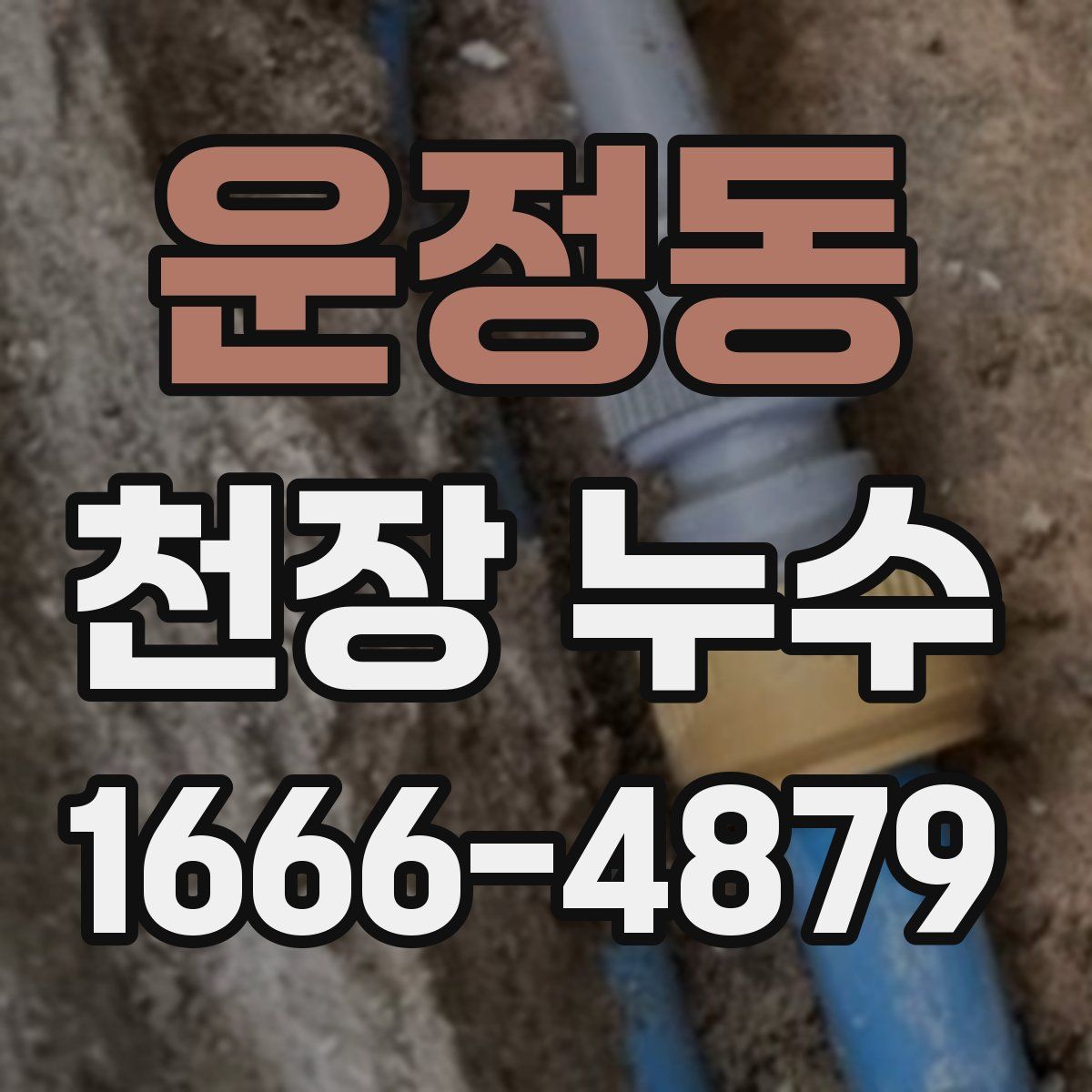 운정동 천장 누수