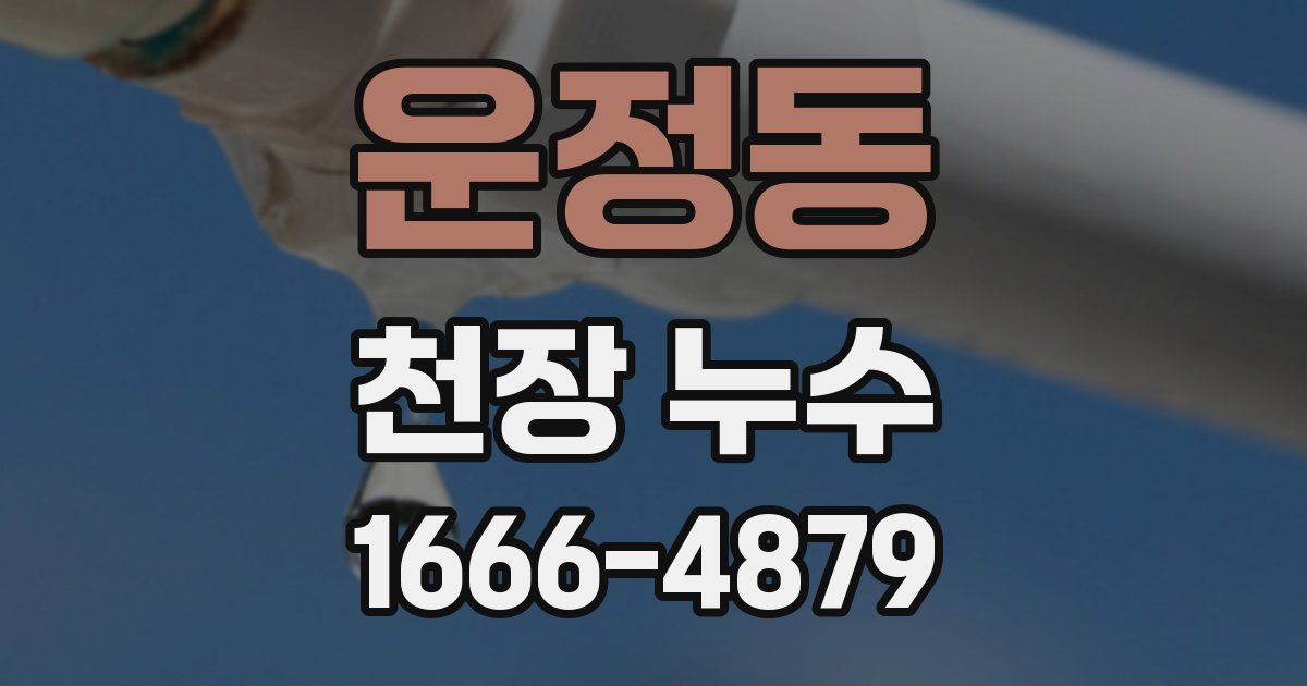 운정동 천장 누수