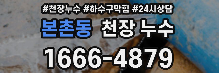 본촌동 천장 누수