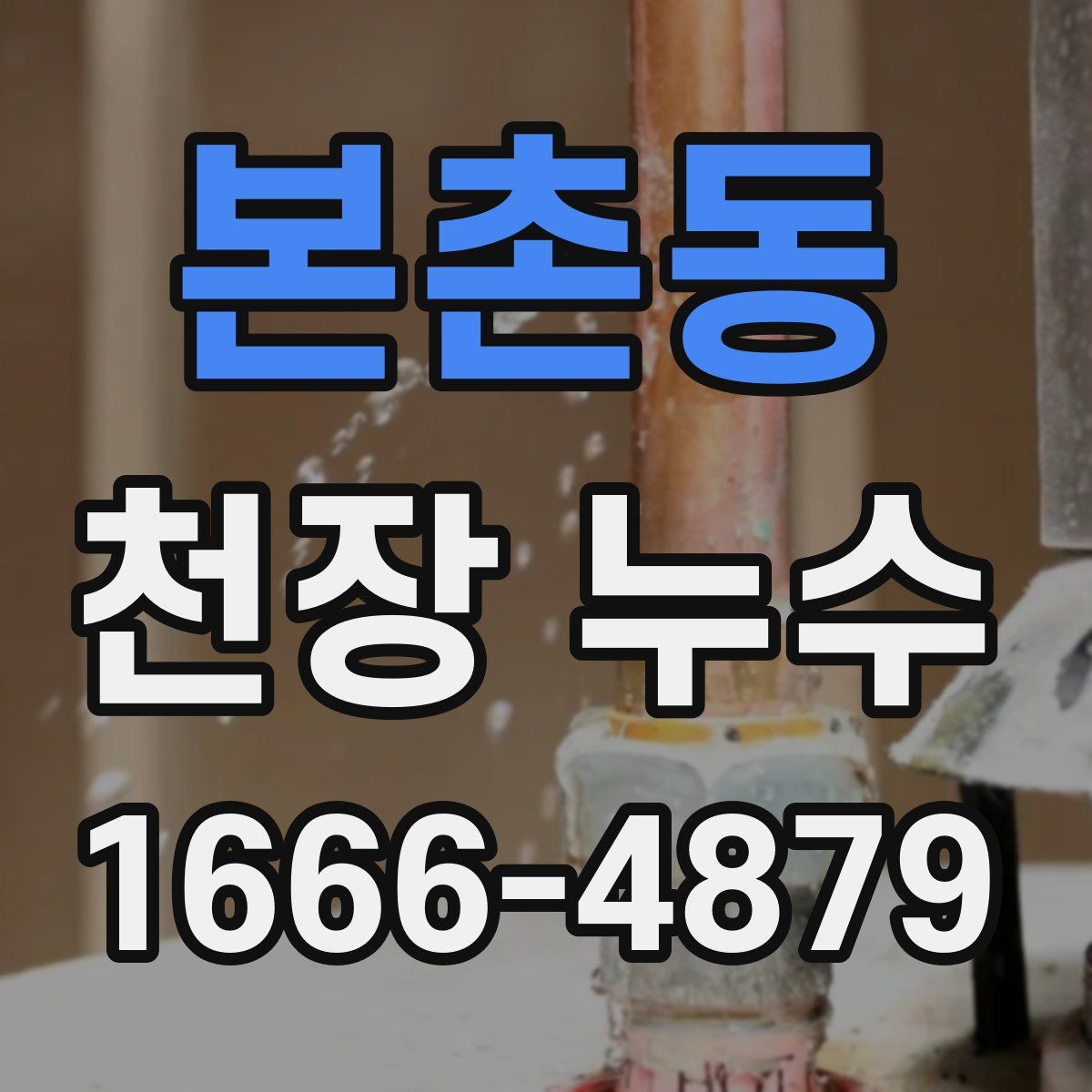 본촌동 천장 누수