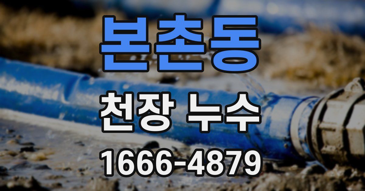 본촌동 천장 누수