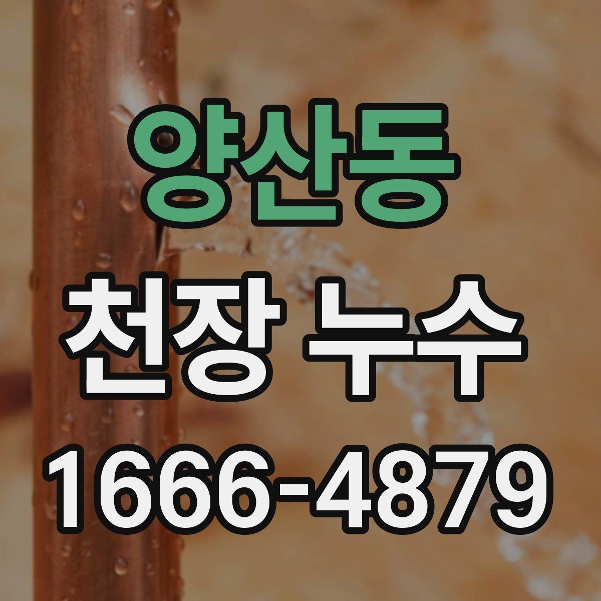 양산동 천장 누수 사진·영상으로 남기면 해결이 빨라지는 이유