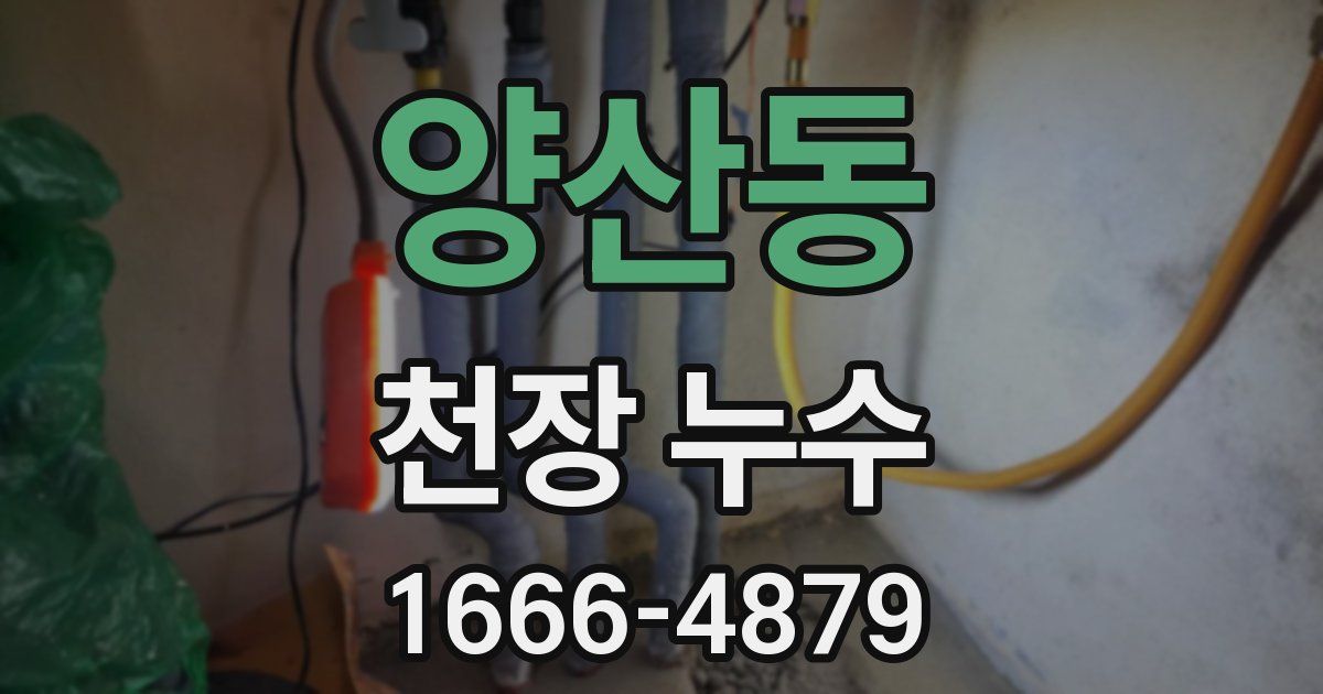 양산동 천장 누수