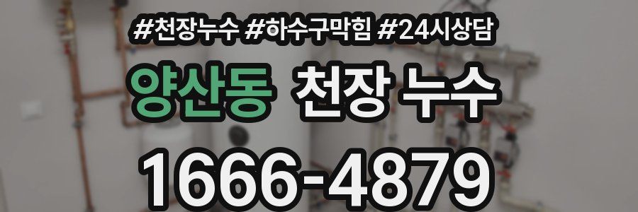 양산동 천장 누수