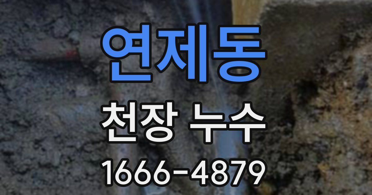 연제동 천장 누수