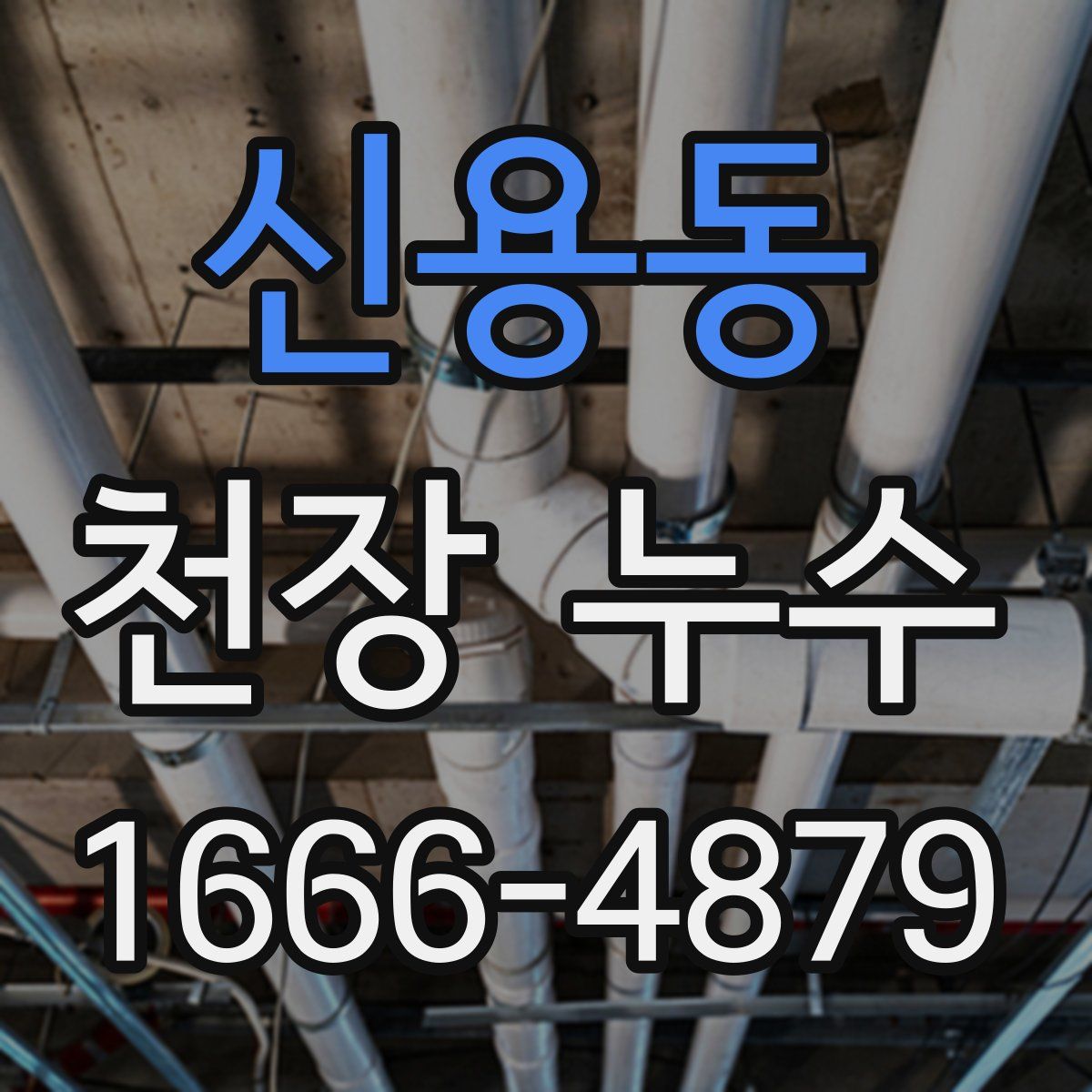 신용동 천장 누수