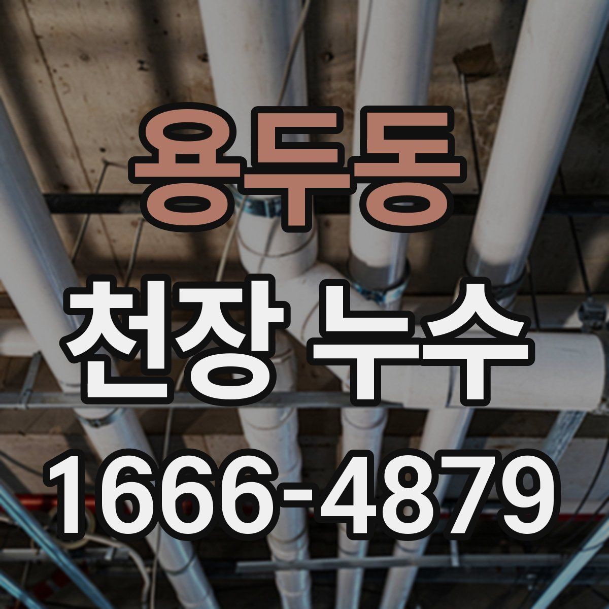용두동 천장 누수 특정 시간대에만 젖는 이유 정리