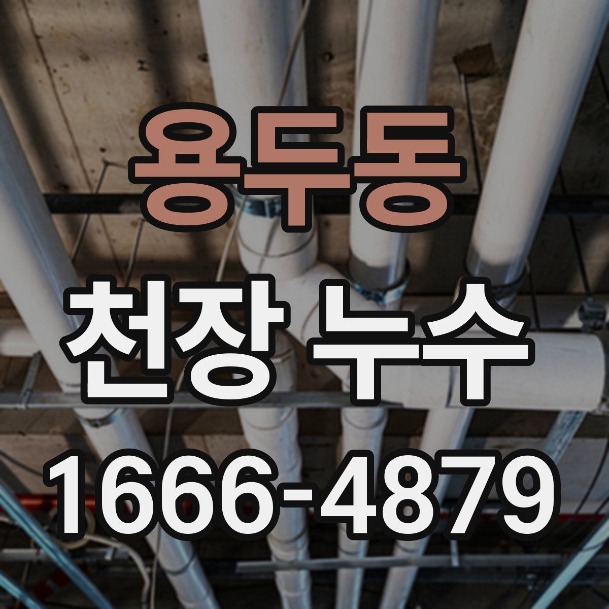 용두동 천장 누수