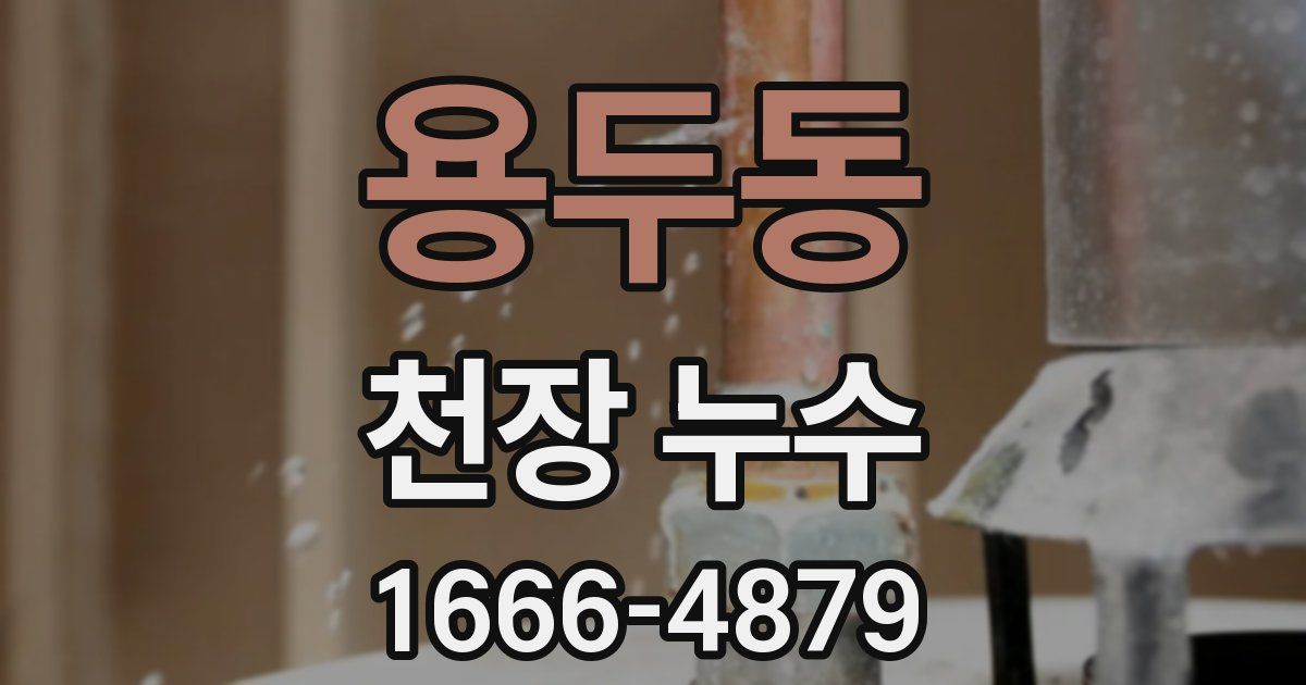 용두동 천장 누수