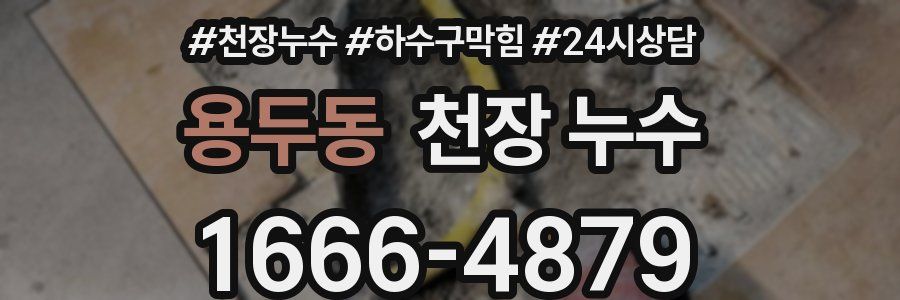 용두동 천장 누수