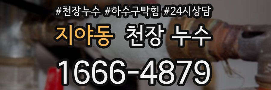 지야동 천장 누수