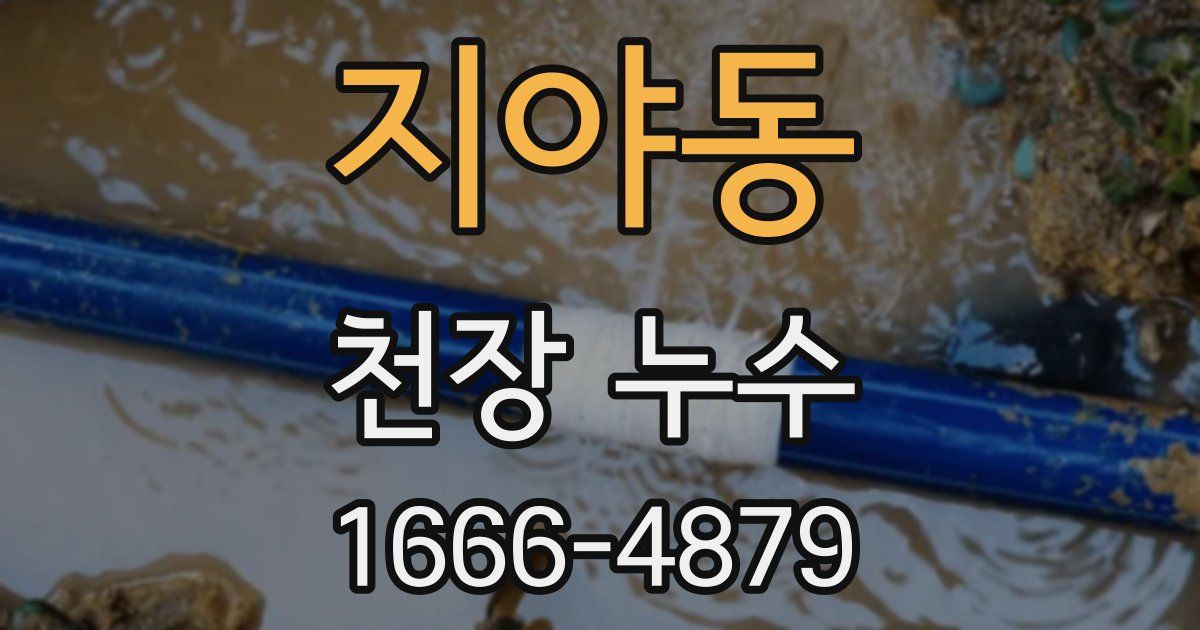 지야동 천장 누수