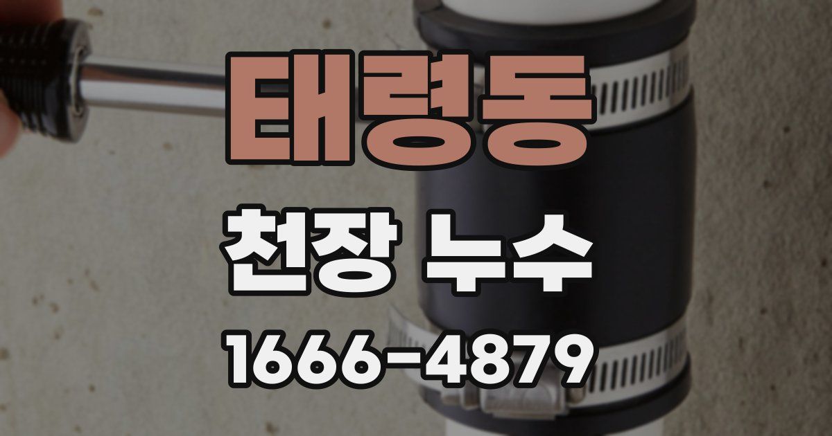 태령동 천장 누수