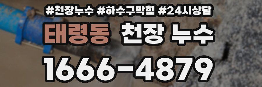 태령동 천장 누수