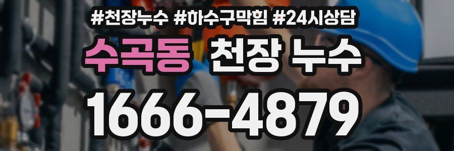 수곡동 천장 누수