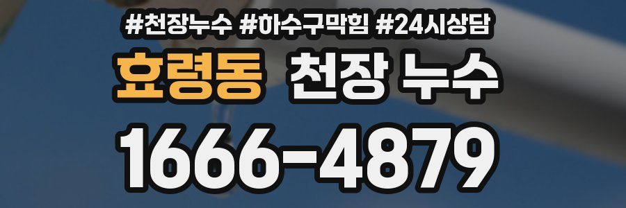 효령동 천장 누수