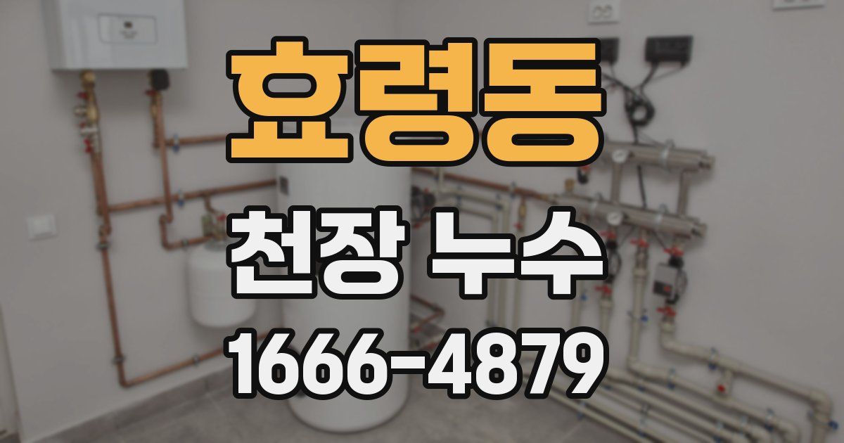 효령동 천장 누수