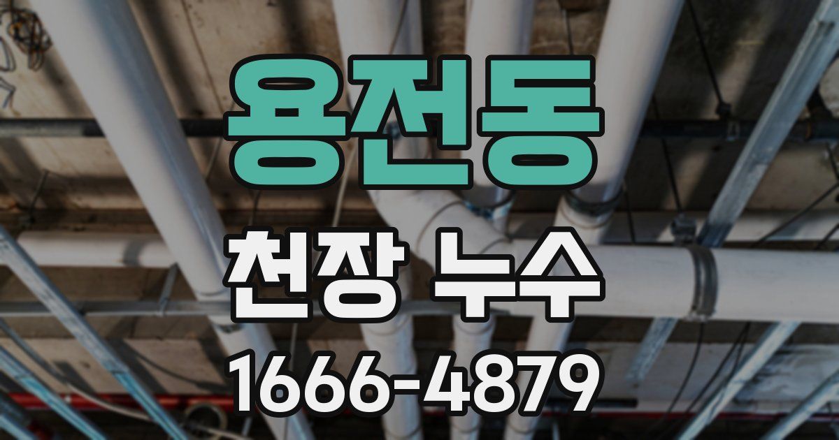 용전동 천장 누수