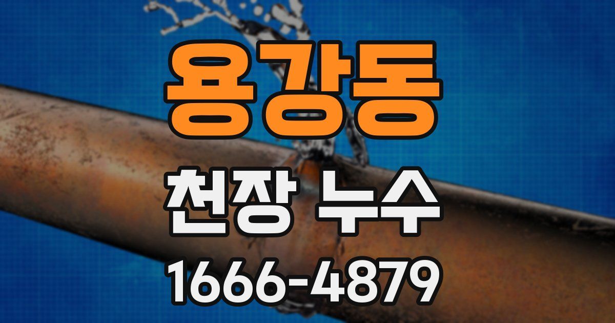 용강동 천장 누수