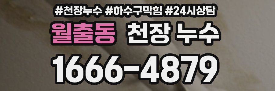 월출동 천장 누수