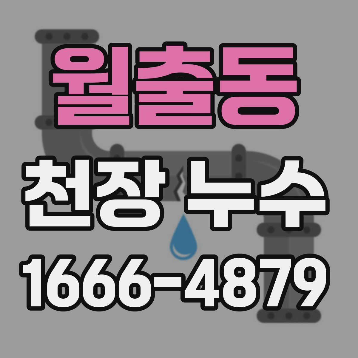 월출동 천장 누수