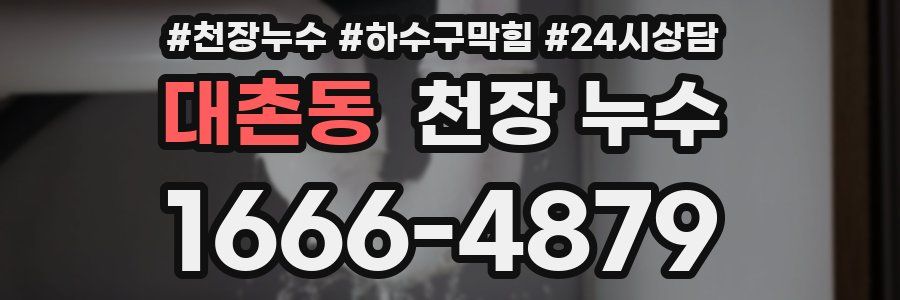 대촌동 천장 누수