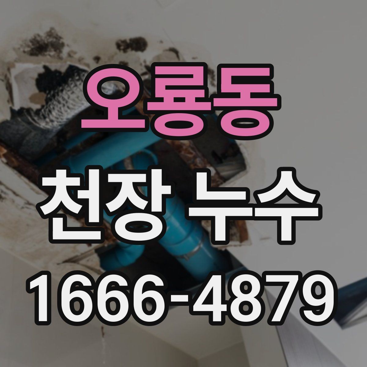 오룡동 천장 누수 얼룩이 길게 흐르면 유입 경로가 다를 수 있어요