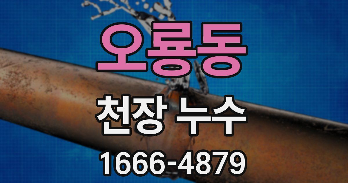 오룡동 천장 누수