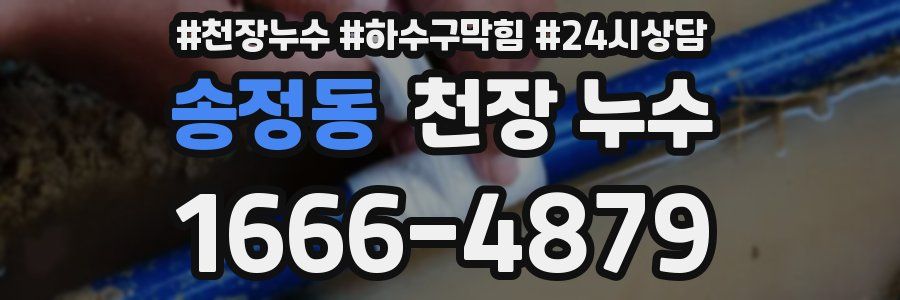 송정동 천장 누수