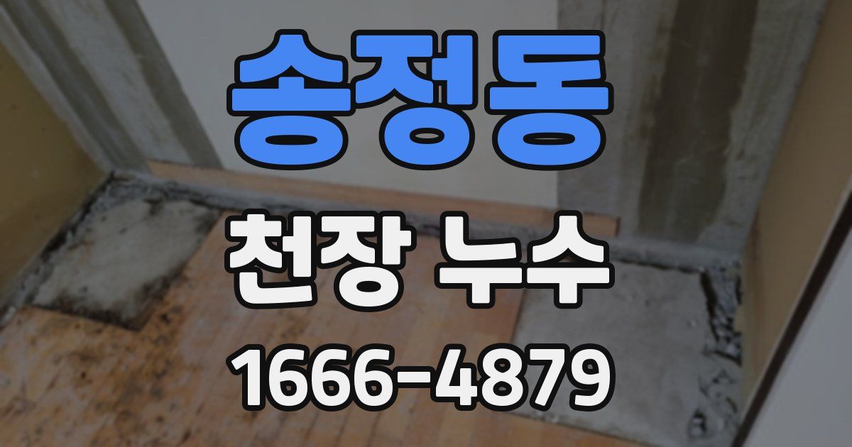 송정동 천장 누수