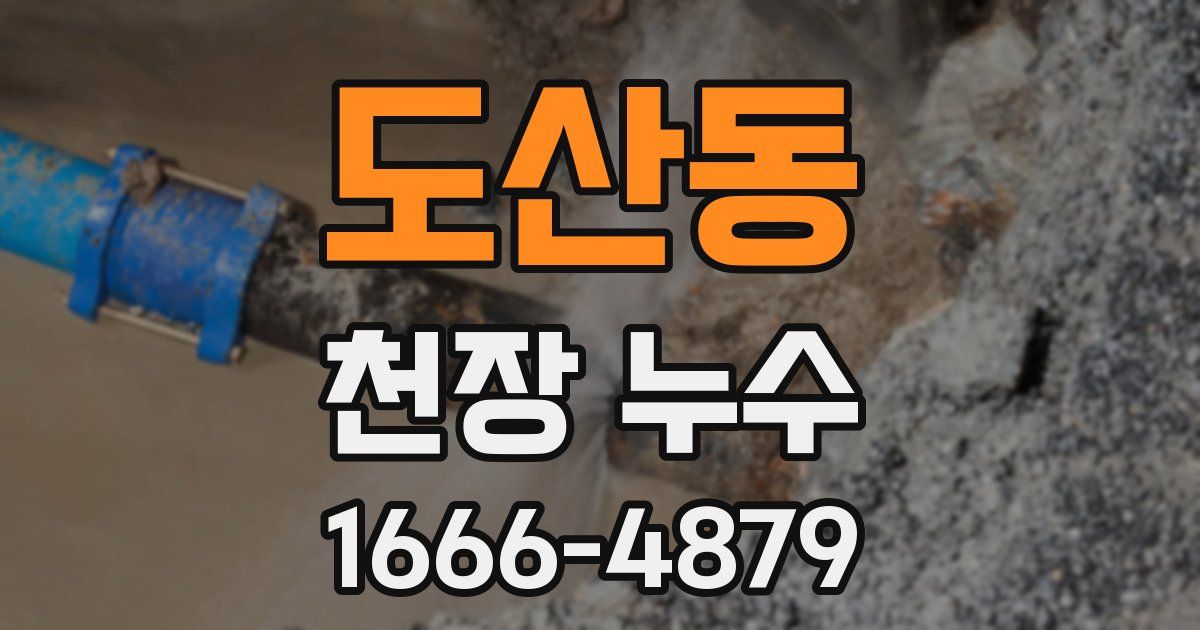 도산동 천장 누수