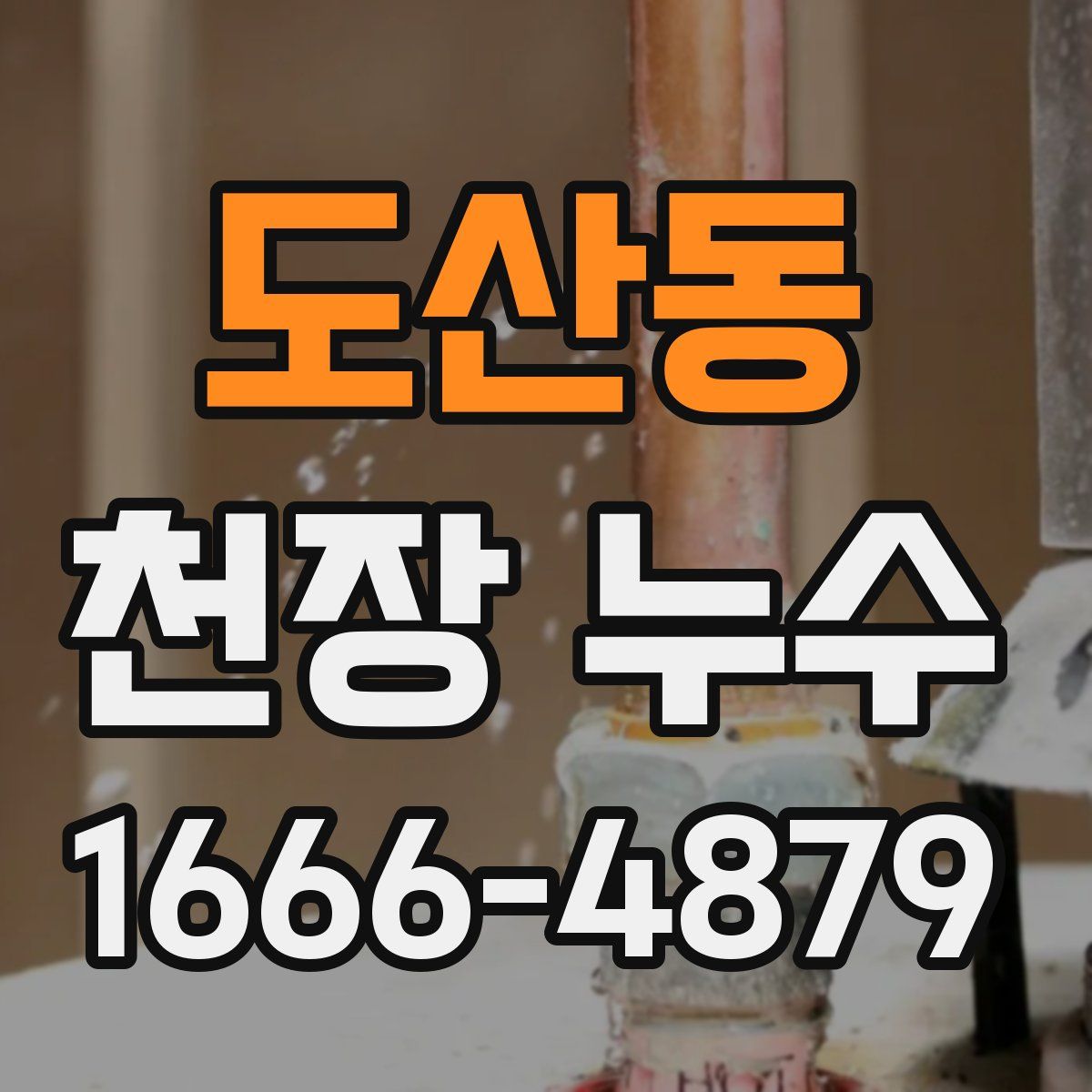 도산동 천장 누수