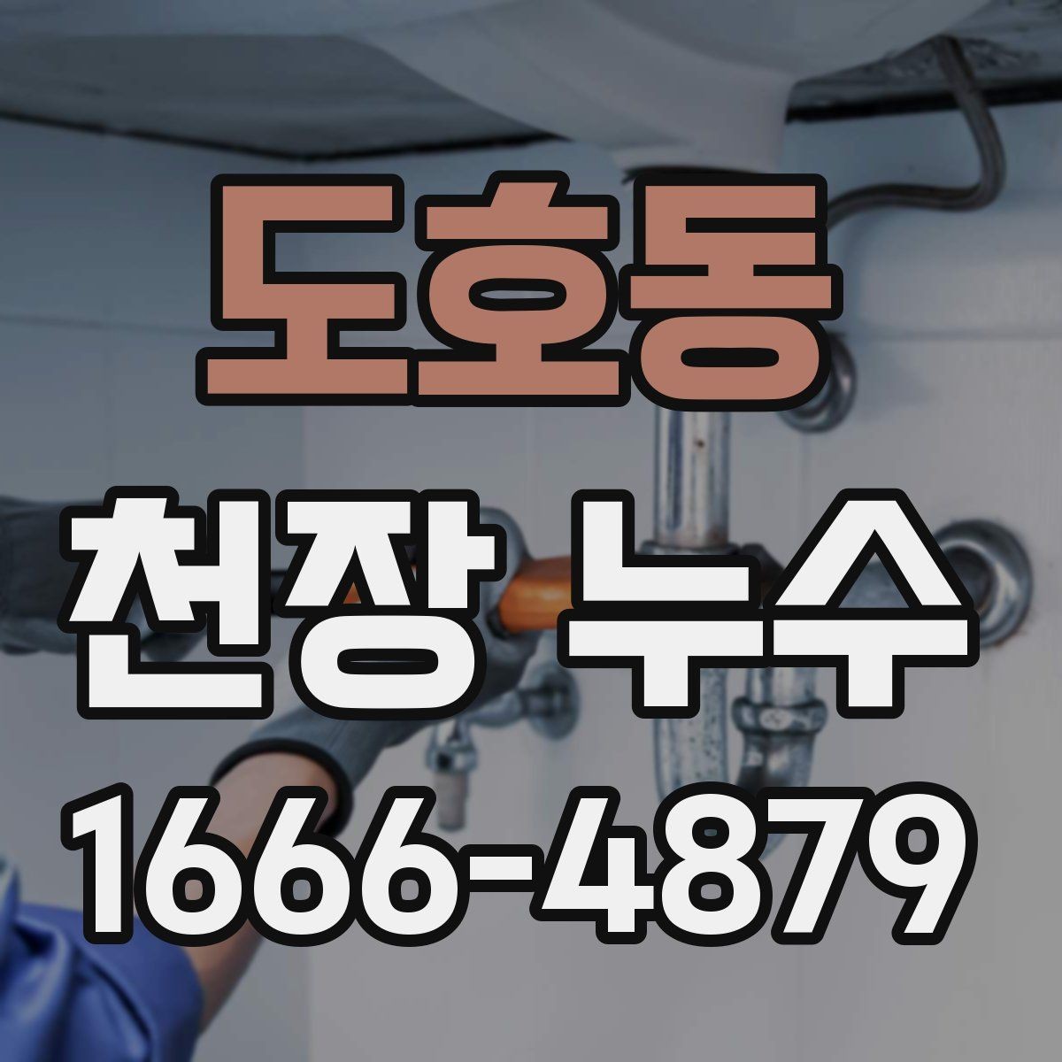 도호동 천장 누수 스프링클러 헤드 주변 물자국이 생기는 이유