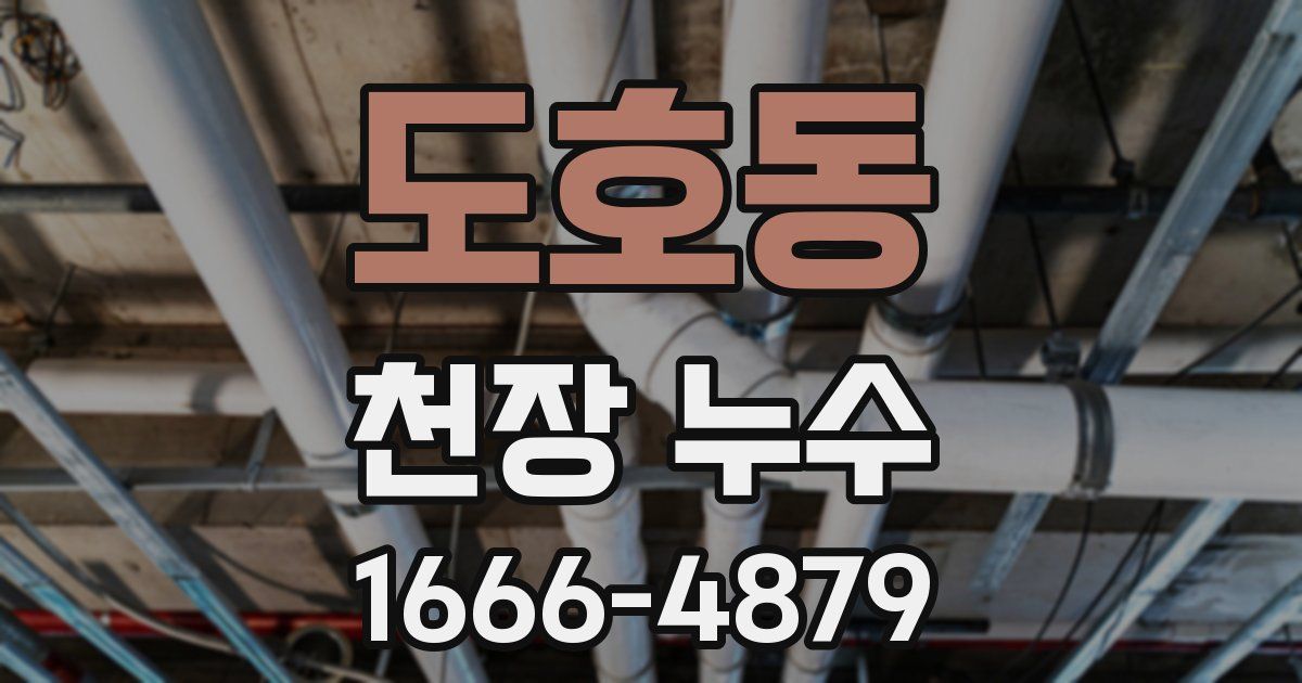 도호동 천장 누수