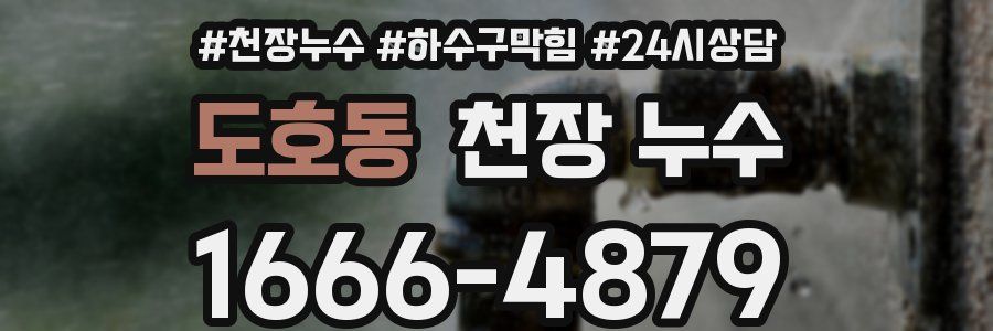 도호동 천장 누수
