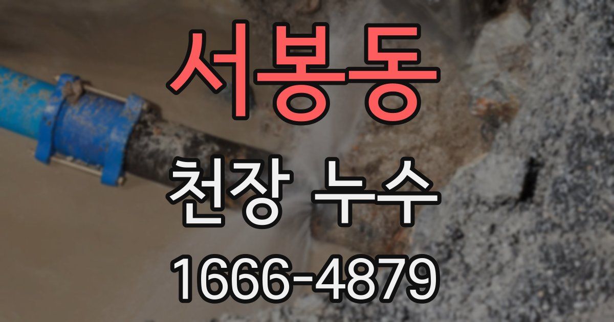 서봉동 천장 누수