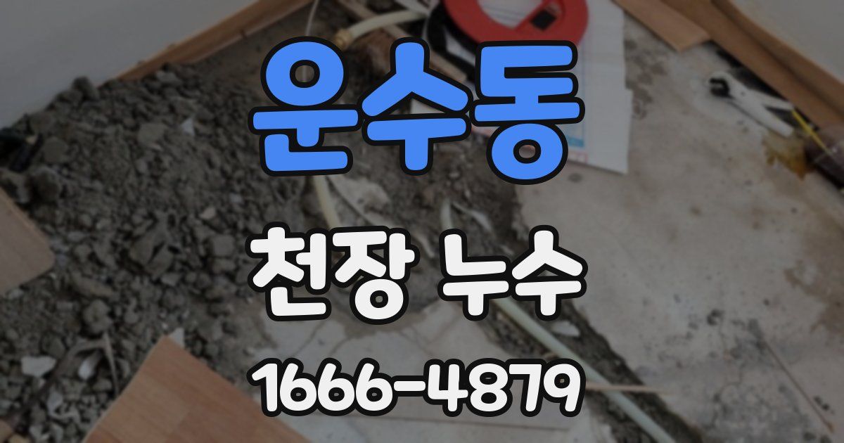 운수동 천장 누수