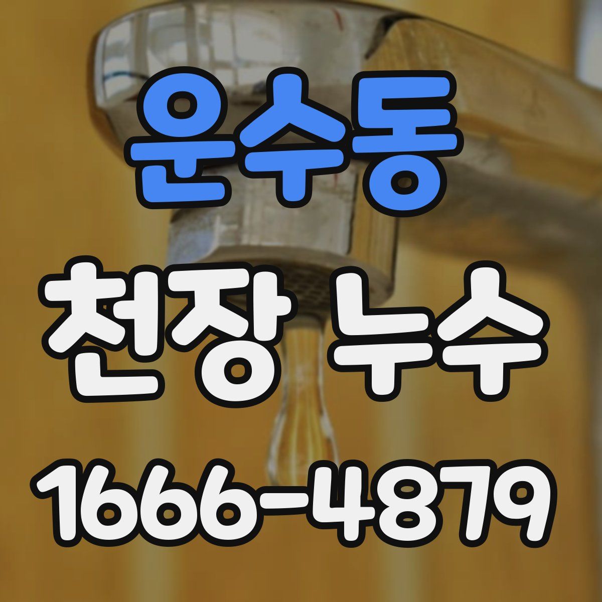 운수동 천장 누수