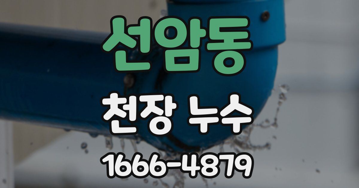 선암동 천장 누수
