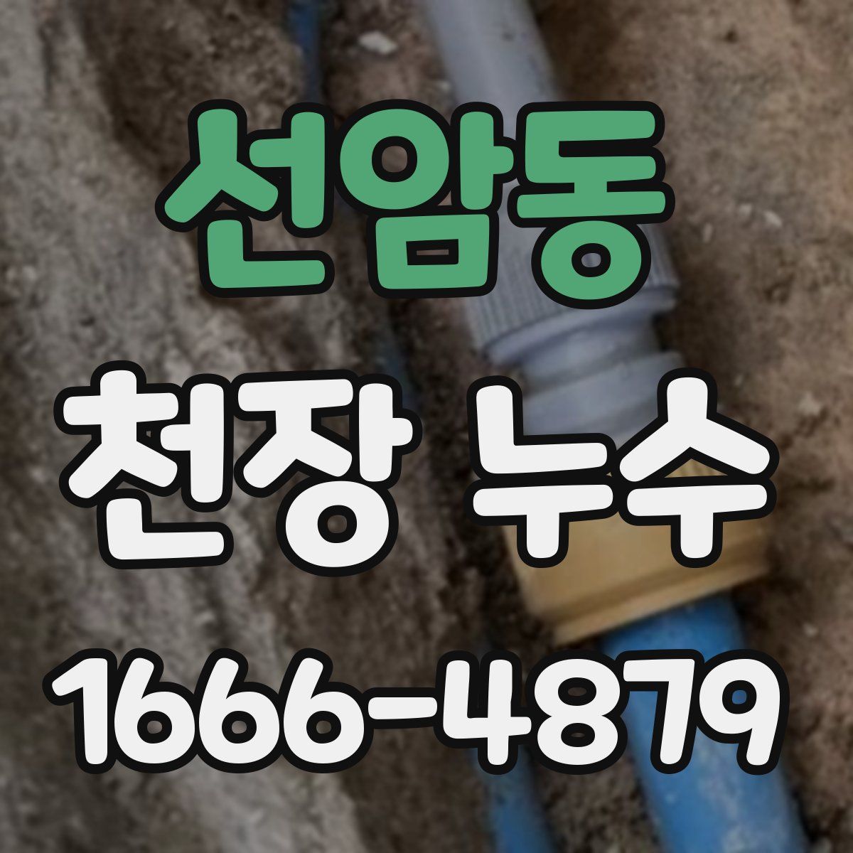 선암동 천장 누수