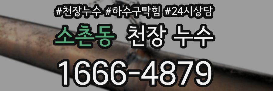 소촌동 천장 누수