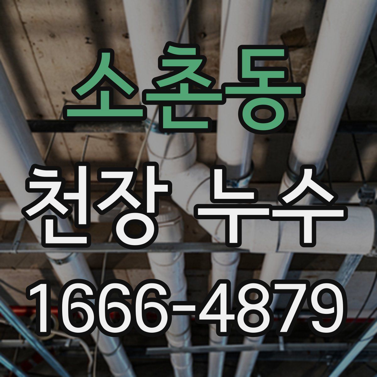 소촌동 천장 누수