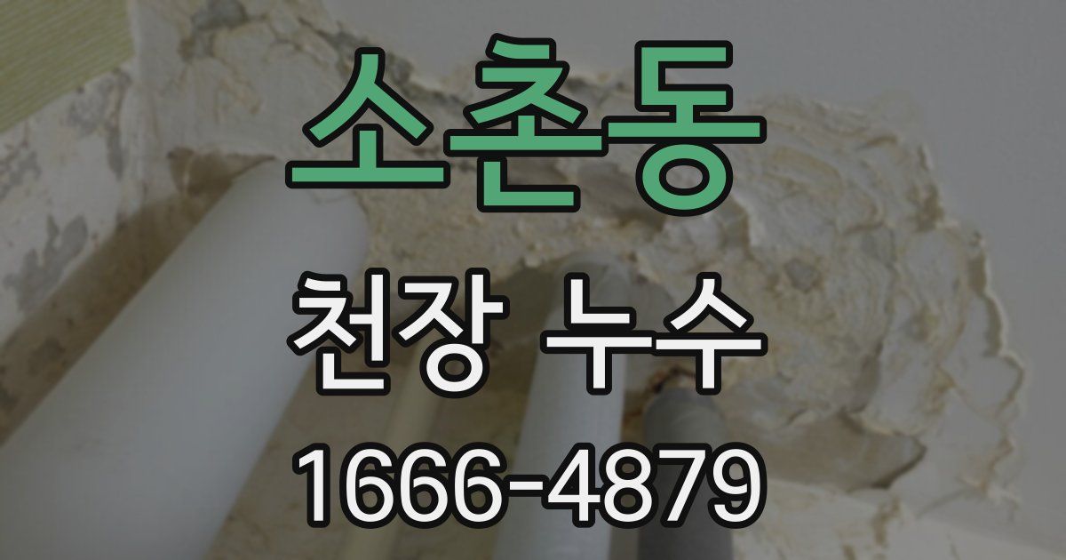 소촌동 천장 누수