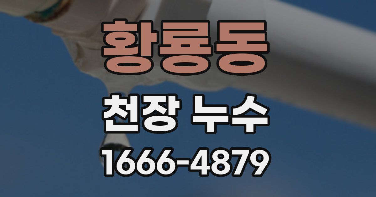 황룡동 천장 누수