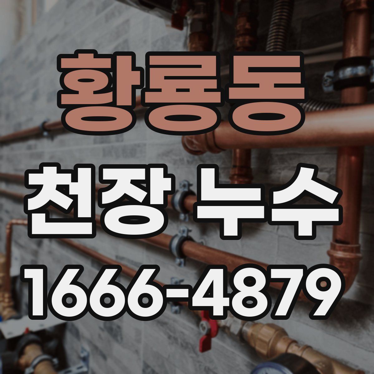 황룡동 천장 누수