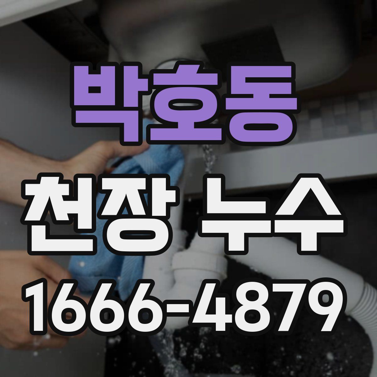 박호동 천장 누수