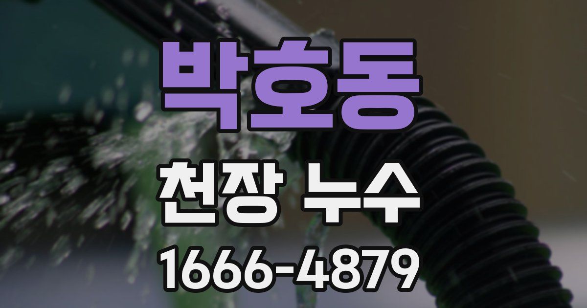 박호동 천장 누수