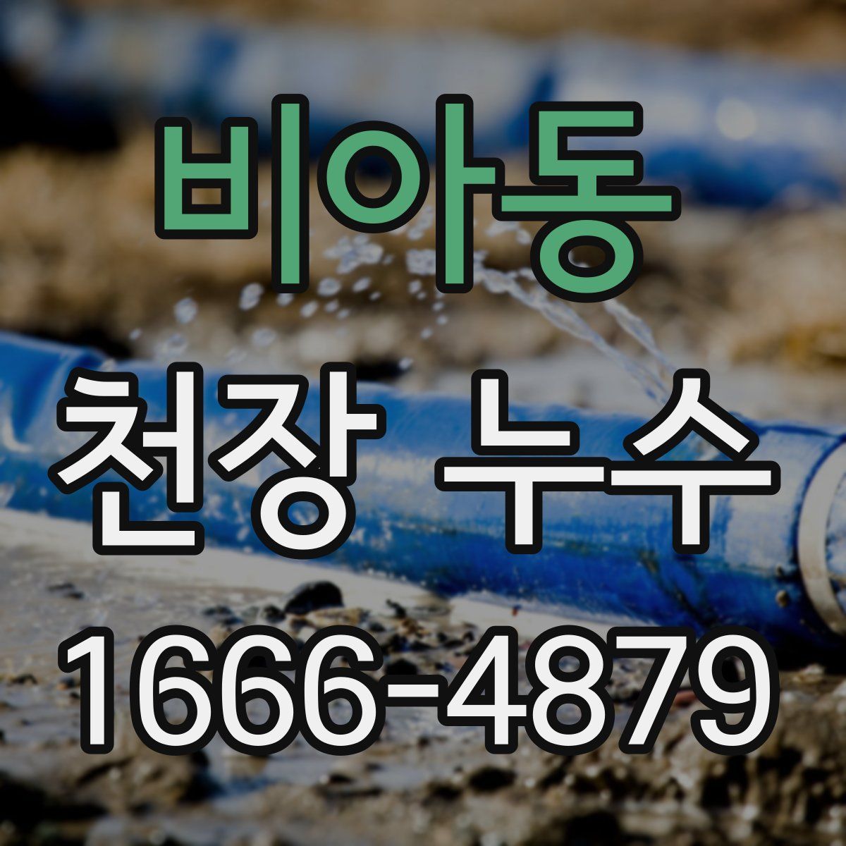 비아동 천장 누수