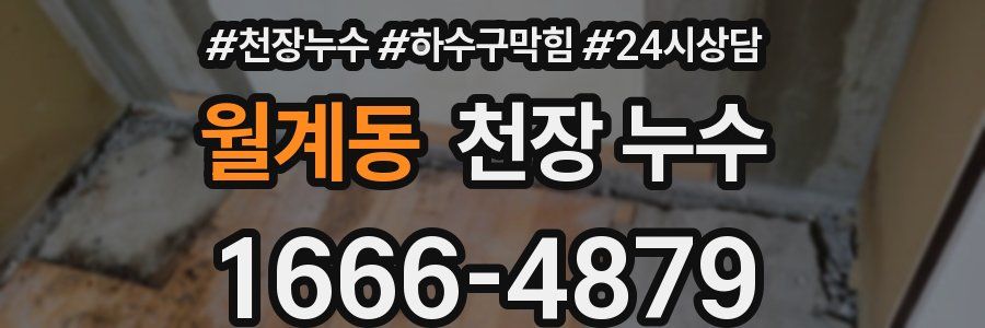 월계동 천장 누수